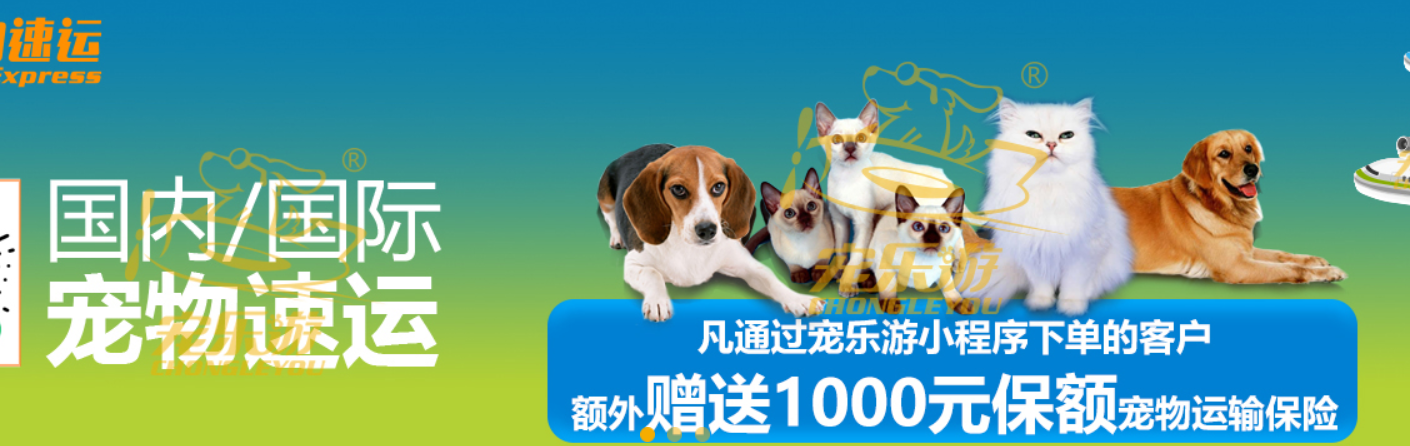 加拿大國際寵物托運手續(xù)和托運流程及注意事項