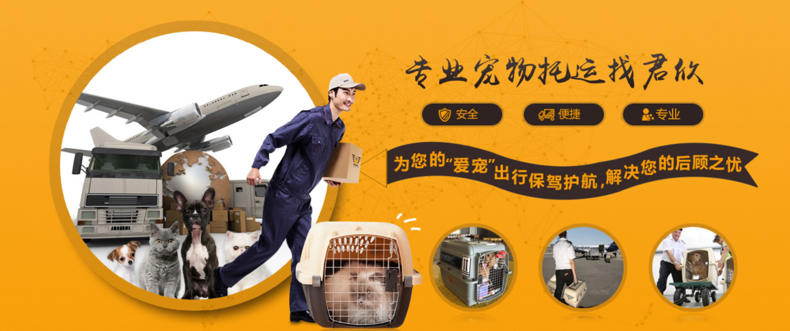 加拿大國際寵物托運手續(xù)和托運流程及注意事項