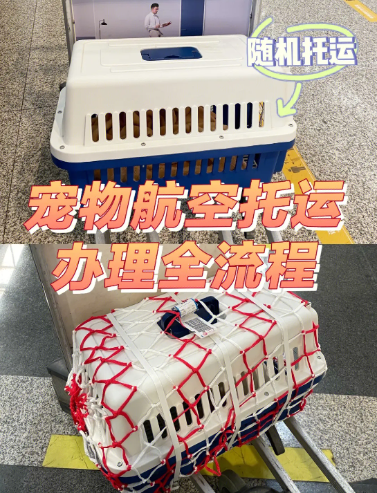 加拿大國際寵物托運手續(xù)和托運流程及注意事項