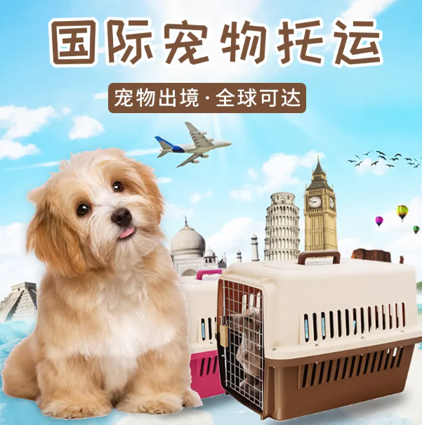 加拿大國際寵物托運手續(xù)和托運流程及注意事項