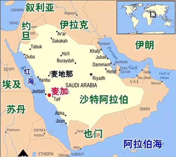 沙特專線 沙特海運(yùn)船期查詢 沙特空運(yùn)貨物追蹤 沙特海空聯(lián)運(yùn)雙清包稅門到門